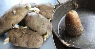 Đừng vứt bỏ khoai tây đã mọc mầm! Có 6 mẹo sử dụng chúng trong nhà bếp