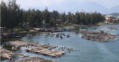 Đà Nẵng: Giải tỏa lồng bè nuôi cá trái phép – bài toán khó với người dân