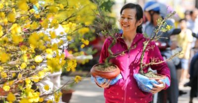 Nghỉ 7 ngày Tết Nguyên đán Tân Sửu 2021, bắt đầu từ 29 tháng Chạp