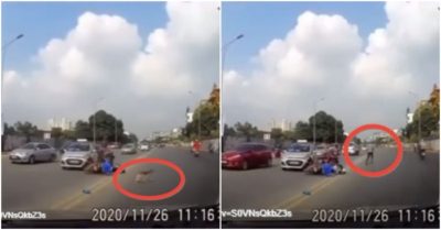 Video: Tông thẳng vào ôtô, người đàn ông hốt hoảng đuổi theo bắt… con chó