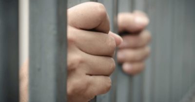 Nông dân trồng dừa ở Bà Rịa – Vũng Tàu bị bắt cóc, tống tiền 4 tỷ đồng