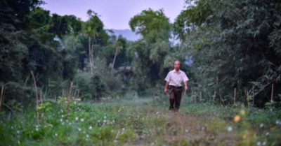 50 tỷ đồng và nỗ lực của người đàn ông làm nơi trú ngụ cho cò