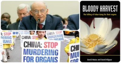 Vạch trần nạn thu hoạch nội tạng của Trung Quốc, luật sư Matas được trao giải nhân đạo toàn cầu