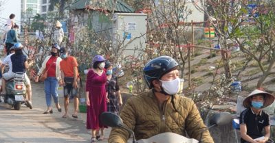 Chợ hoa Hà Nội trắng sắc lê rừng trước rằm tháng Giêng