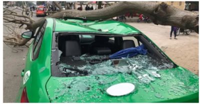 Cành cây bất ngờ gãy, đè lên xe taxi đang dừng trả khách trước cổng bệnh viện