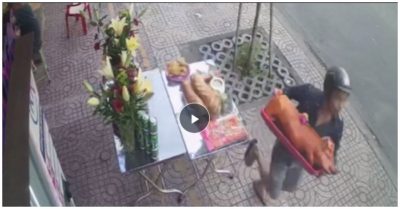 Clip: Chủ nhà chưa kịp thắp hương cúng đã bị trộm bê mất con heo quay