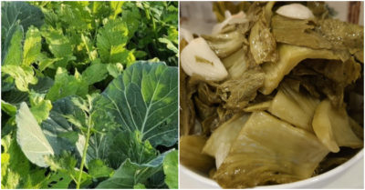 Cách muối dưa chua-ngon-vàng rộm lúc giao mùa