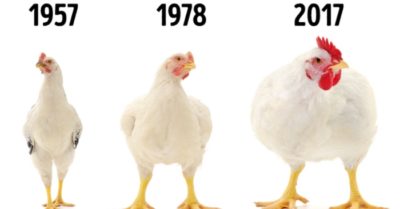 12 sự thật về thực phẩm mọi người nên biết