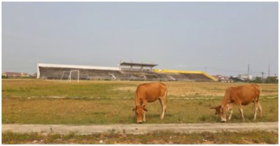 Trung tâm văn hóa thể thao 21 tỷ đồng 8 năm vẫn chưa xong, người dân thả bò vào gặm cỏ