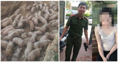 Tin tức tối 22/5: 73 ca nhiễm mới; Tiêu hủy gần 1.000 con lợn nhập khẩu; Cứu người phụ nữ nhảy xuống hồ Tây