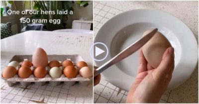 Video: Đập quả trứng to gấp 3 lần bình thường, cô gái bất ngờ khi thấy thứ bên trong