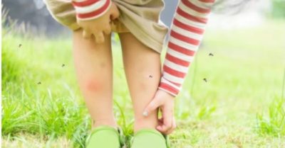 Tại sao một số người luôn bị muỗi đốt, trong khi những người khác thì không?