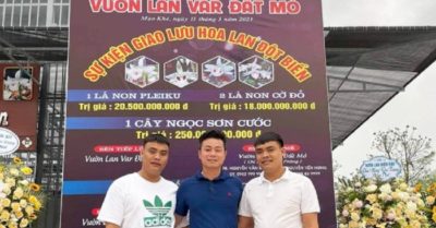 Bắt hai anh em “đại gia” lan đột biến vì khai thác hàng triệu tấn than lậu