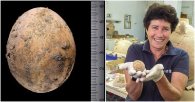 Quả trứng gà nguyên vẹn 1000 năm tuổi được khai quật tại Israel