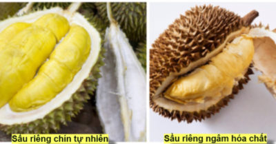 Cách nhận biết sầu riêng ngâm hóa chất
