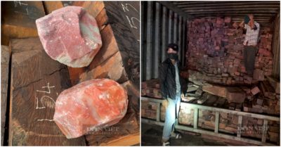 Bắt giữ 7 xe container chở gỗ lậu, đá quý vượt biên giới về Việt Nam