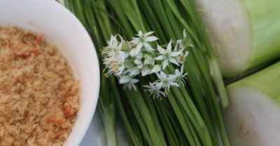 Món ăn bài thuốc từ cây hẹ