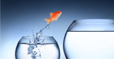 Hướng dẫn làm chủ nỗi sợ hãi của bạn