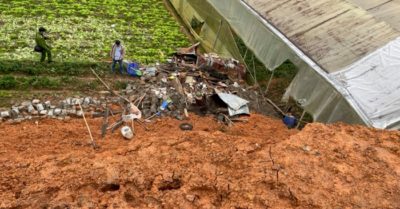 Đà Lạt: Bốn người bị đất vùi lấp khi trú mưa