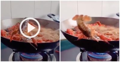 Video tôm hùm kẹp càng vào mép chảo rồi nhào lộn, tẩu thoát khỏi chảo dầu sôi