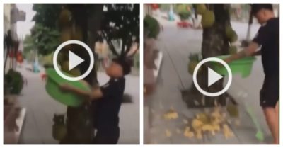 Clip: Hào hứng mang chậu ra hứng mít, kết quả thanh niên ‘đứng như trời trồng’