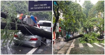 Hà Nội: Cây xanh bật gốc, đè bẹp xế hộp do mưa bão