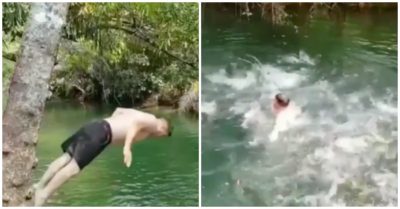 Clip: Người đàn ông bơi vội lên bờ khi bị đàn cá đói ‘tấn công’