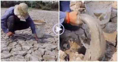Video: Cầm cây gõ nhẹ từng tảng bùn khô, chàng trai bắt được cá khủng