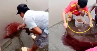 Video: Giăng lưới bắt cá trên phố ngập nước