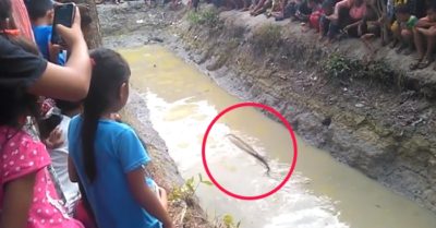 Video: Cả làng phấn khích xem bắt cá khổng lồ
