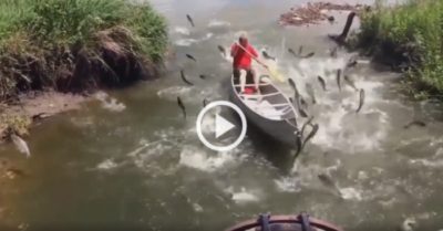 Video: Người đàn ông thích thú khi đàn cá nhảy lên thuyền