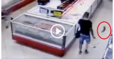 Clip: Cá tự nhảy vào giỏ khách hàng