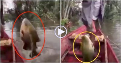 Video: Cần thủ câu được cá ‘khủng’ mà không cần mồi