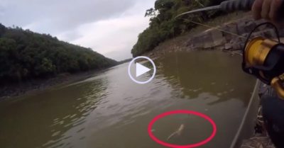 Video: Thả câu dưới sông, cần thủ bất ngờ kéo lên sinh vật có ‘khuôn mặt kỳ dị’