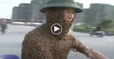 Video: Người đàn ông đạp xe đi dạo với ‘chiếc áo’ làm bằng 5.000 con ong