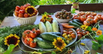 Kết nối tâm linh và trí tuệ trong vườn