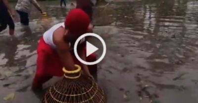 Video: Cả làng thích thú dùng nơm bắt cá dưới đầm