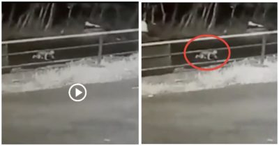 Video khoảnh khắc em bé rơi khỏi ôtô đang chạy