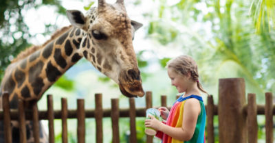 5 lời khuyên giáo dục tại nhà từ một người tiên phong thành công