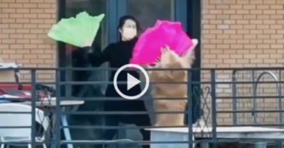 Video: Cô chủ luyện võ công với cún cưng