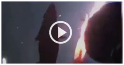 Video: Mực khổng lồ tấn công tàu ngầm