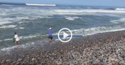 Video: Ra biển quăng chài, hai ngư dân ‘trúng đậm’ mẻ cá đối