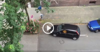 Video: Nữ tài xế lái xe bỏ đi vì mãi không vào được chỗ đỗ