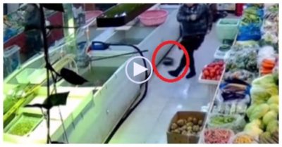 Clip: Màn sút cá ‘đỉnh của chóp’ của nữ nhân viên