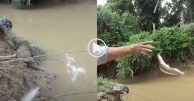 Video: Đặt 11 cần câu, người đàn ông giật cá trê liên tục trên sông