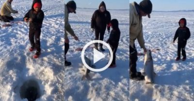 Video: Bé trai sung sướng vì câu được cá khủng trên sông băng