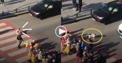 Clip: Chú chó ‘hộ tống’ các em nhỏ đi học mỗi ngày