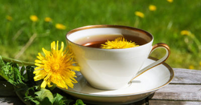 Cỏ dại biến thành thảo mộc, giúp tiêu hóa và tăng cường khả năng miễn dịch