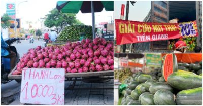 Trung Quốc ngưng nhập, gần 10.000 tấn thanh long Việt Nam chờ “giải cứu”