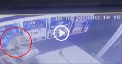 Video: Khỉ vàng phá tung cây ATM của ngân hàng